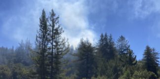 Arrest made in Scotts Valley fires tour bus and smoke