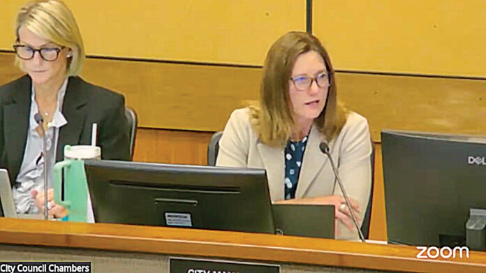 SV council meeting with LaGoe screenshot Council meeting screenshot