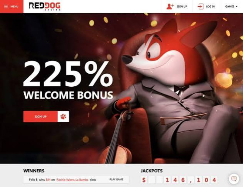 red dog casino