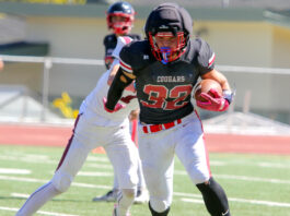 Cougar football runs wild in convincing win over St. Francis | Weeklys Sports Roundup