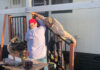Strictly Business | A Little Repair, A Big Difference: The Heart of Damians Ladder Damians Ladder volunteers