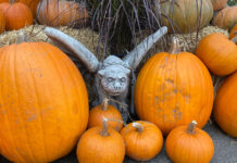The Mountain Gardener | Halloween Brings Seasonal Color to the Garden ghoul with pumpkins