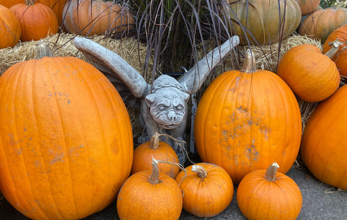 ghoul with pumpkins