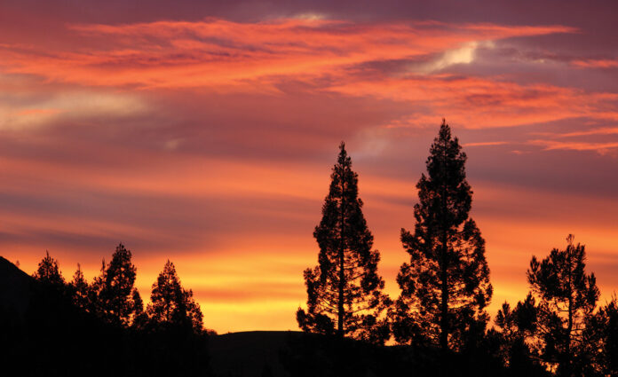 TMG redwood sunset redwood sunset